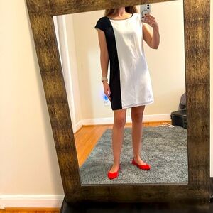 Express Shift Dress